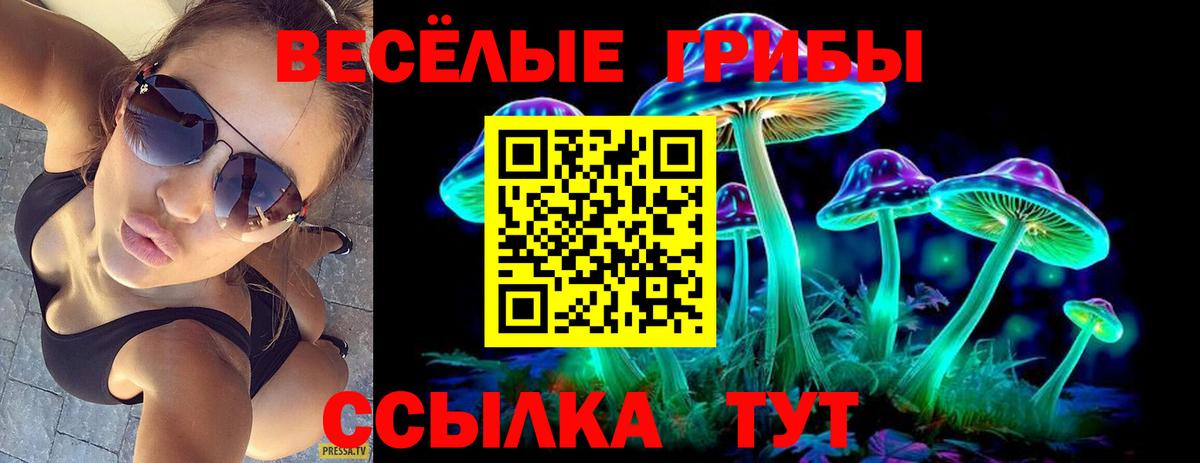 Галлюциногенные грибы Psilocybe  Вход с VPN  Губкин  Галлюциногенные грибы ЛСД 