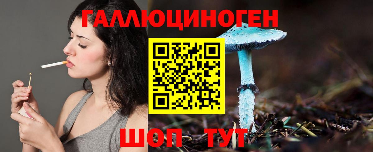 Псилоцибиновые грибы Psilocybe Губкин